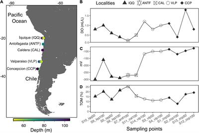 Bacterial community of sediments under the Eastern Boundary Current System shows high microdiversity and a latitudinal spatial pattern